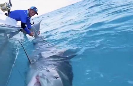 惊险钓鱼时刻：男子意外钓上巨鲨急忙剪线逃生