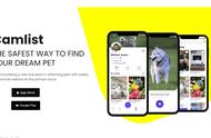 Camlist：宠物视频分享的新星，锁定英国市场扩展