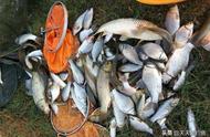 春季钓鱼指南：掌握阶段性技巧，确保渔获丰收